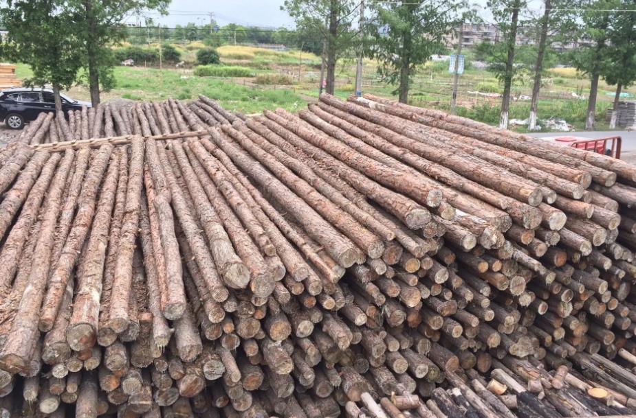 <a href=http://www.creafmb.net/ target=_blank class=infotextkey>打樁木</a>